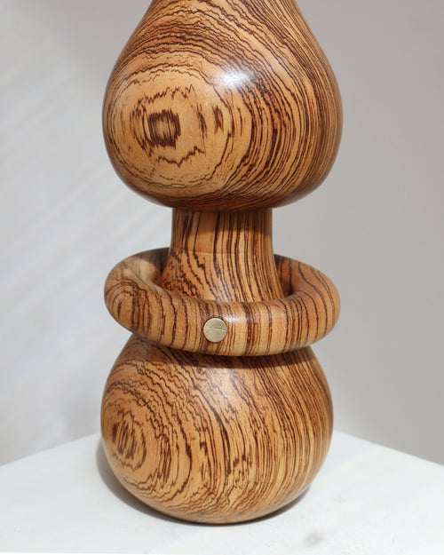 Marcia Zebrano Lamp